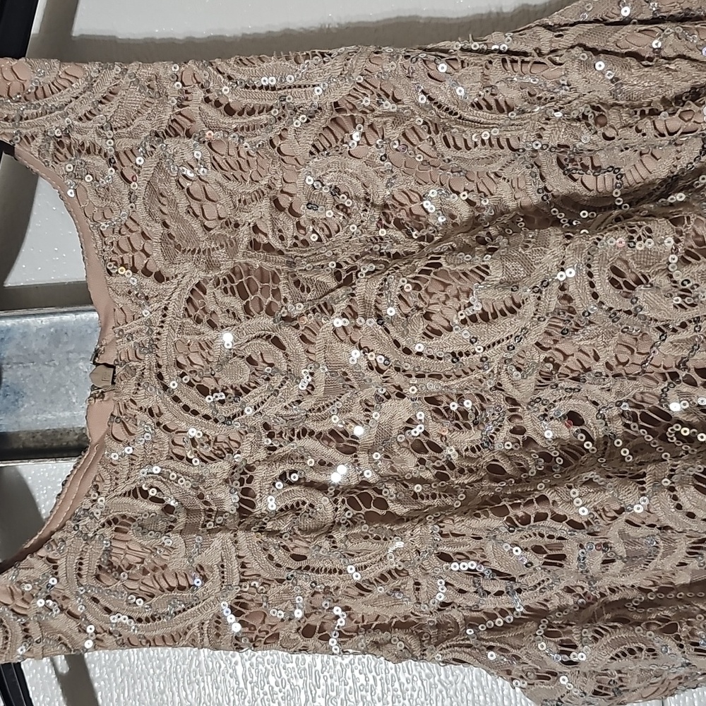 Alex Evenings Taupe Sequin Lace Maxi Dress - Picture 2 of 7
